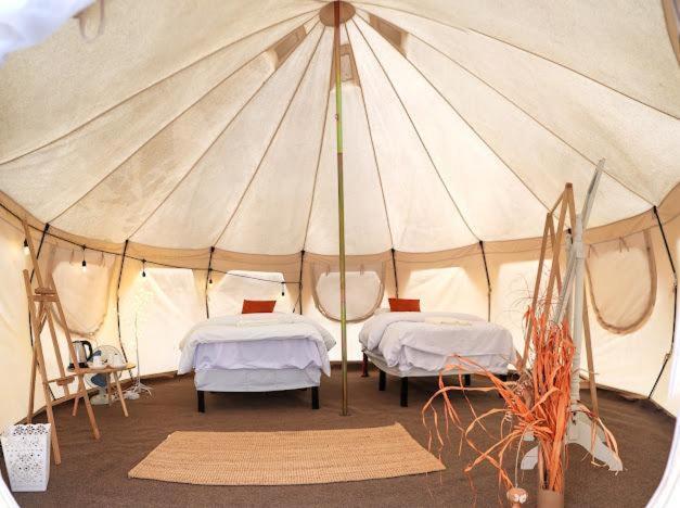 Safari Desert Camp 3* Shāhiq