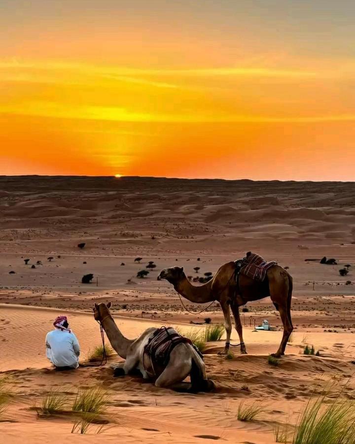 Resort Safari Desert Camp